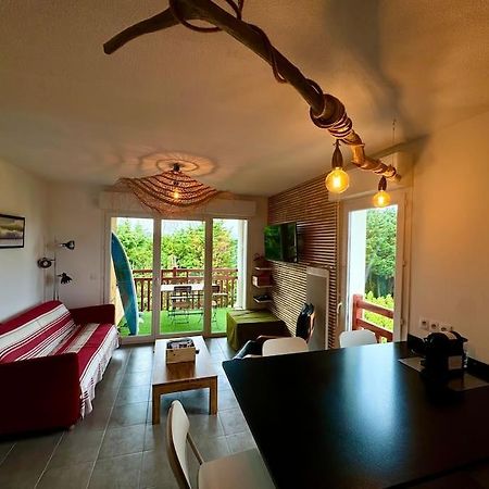 Grand Appartement - Piscine - Plage- Terrasse Saint-Jean-de-Luz Kültér fotó