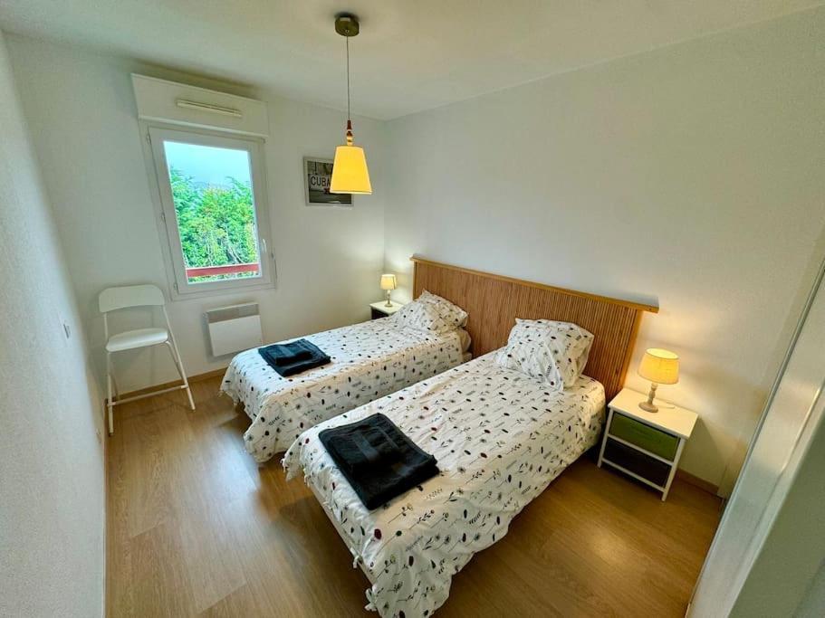Grand Appartement - Piscine - Plage- Terrasse Saint-Jean-de-Luz Kültér fotó